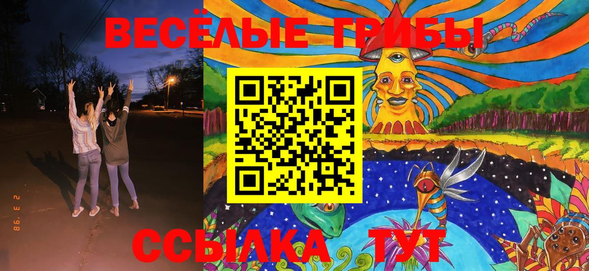 Псилоцибиновые грибы мухоморы Елизово