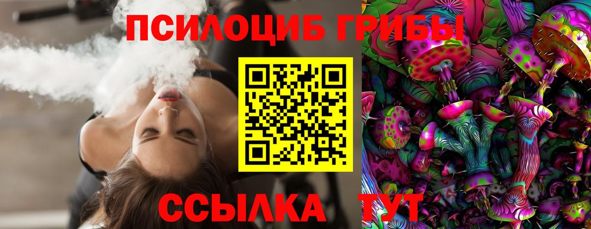 Галлюциногенные грибы Magic Shrooms  Вход с VPN  дарнет шоп  Елизово 